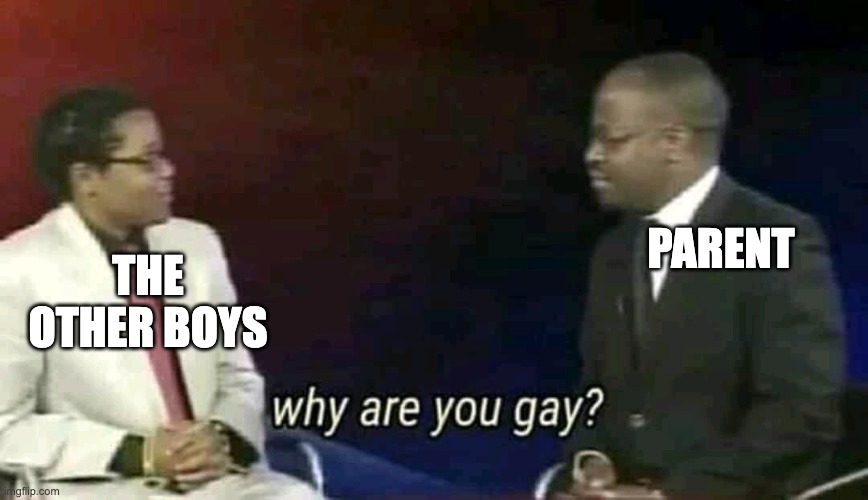 Why are you gay? | PARENT THE OTHER BOYS | image tagged in why are you gay | made w/ Imgflip meme maker