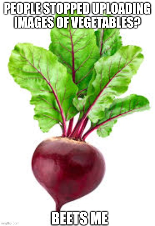 Don't worry, this won't go on the fun stream | PEOPLE STOPPED UPLOADING IMAGES OF VEGETABLES? BEETS ME | image tagged in funny memes,vegetables | made w/ Imgflip meme maker