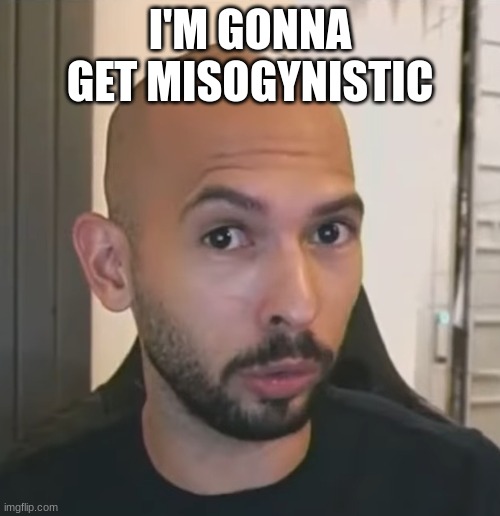 hbbhbjhbb | I'M GONNA GET MISOGYNISTIC | image tagged in andrew tate no bitches | made w/ Imgflip meme maker