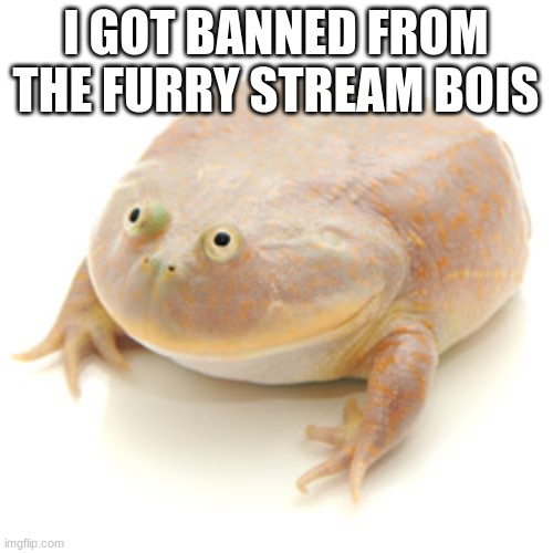 It is wednesday my dudes | I GOT BANNED FROM THE FURRY STREAM BOIS | image tagged in it is wednesday my dudes | made w/ Imgflip meme maker