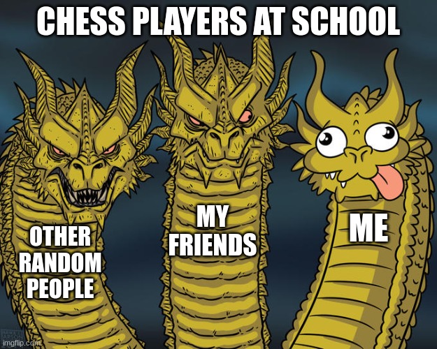 different types of chess player at our school | CHESS PLAYERS AT SCHOOL; MY FRIENDS; ME; OTHER RANDOM PEOPLE | image tagged in three-headed dragon,funny,funny memes,fun,bored,chess | made w/ Imgflip meme maker