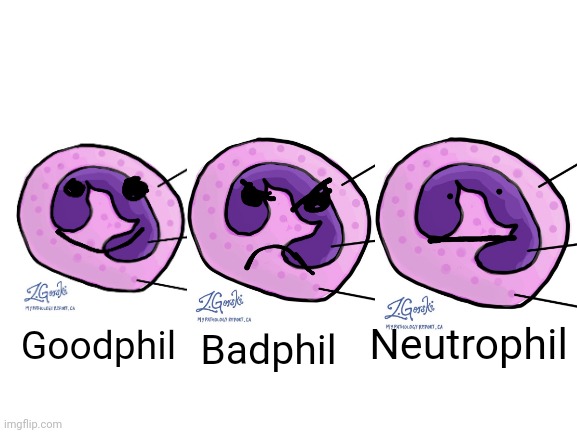 Neutrophil | Neutrophil; Goodphil; Badphil | image tagged in memes,science,funny memes | made w/ Imgflip meme maker