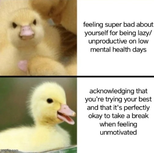 image tagged in drake,ducks,repost,wholesome,memes,wholesome content | made w/ Imgflip meme maker