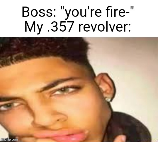 Name of a gun from half life 2 | Boss: "you're fire-"
My .357 revolver: | image tagged in pie charts | made w/ Imgflip meme maker
