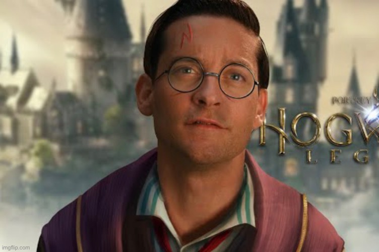 If Toby Maguire’s Spiderman and Harry Potter had a kid | image tagged in idk what stream to put this in | made w/ Imgflip meme maker