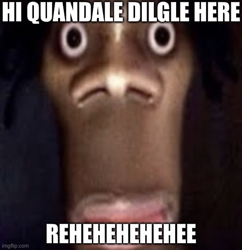 Quandale dingle | HI QUANDALE DILGLE HERE; REHEHEHEHEHEE | image tagged in quandale dingle | made w/ Imgflip meme maker