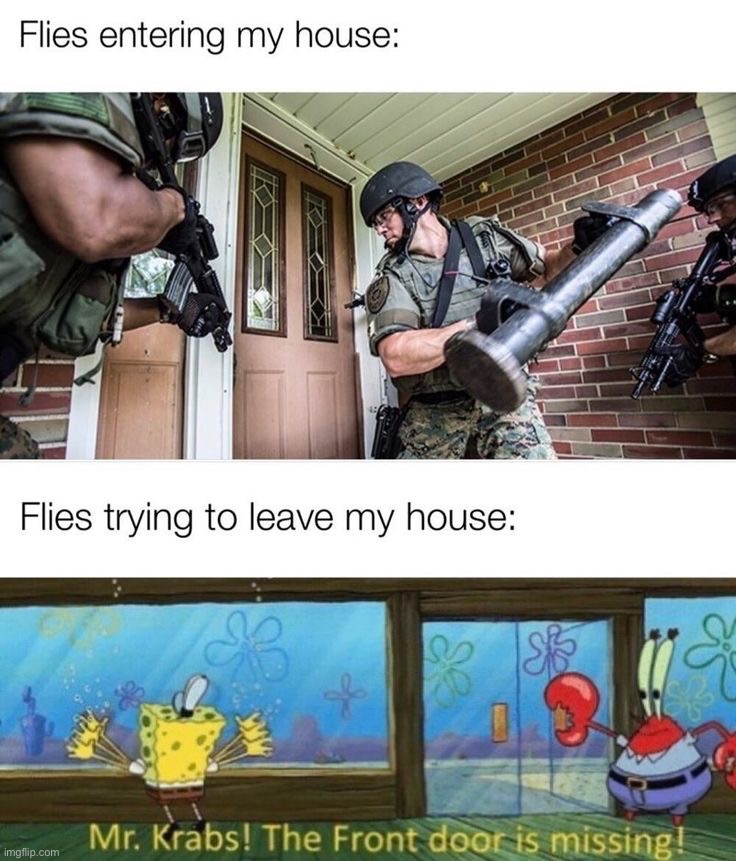 image tagged in memes,funny | made w/ Imgflip meme maker