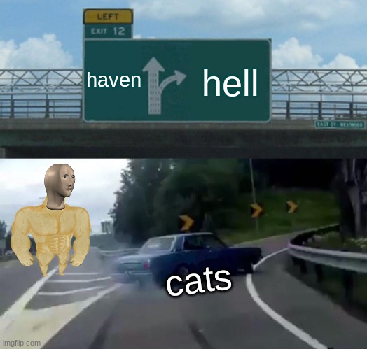 Left Exit 12 Off Ramp | haven; hell; cats | image tagged in memes,left exit 12 off ramp | made w/ Imgflip meme maker