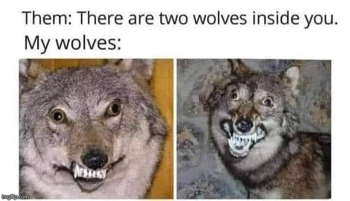 image tagged in memes | made w/ Imgflip meme maker