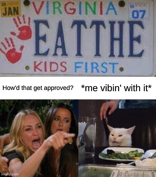 How'd that get approved? *me vibin' with it* | image tagged in memes,woman yelling at cat,dark humor | made w/ Imgflip meme maker
