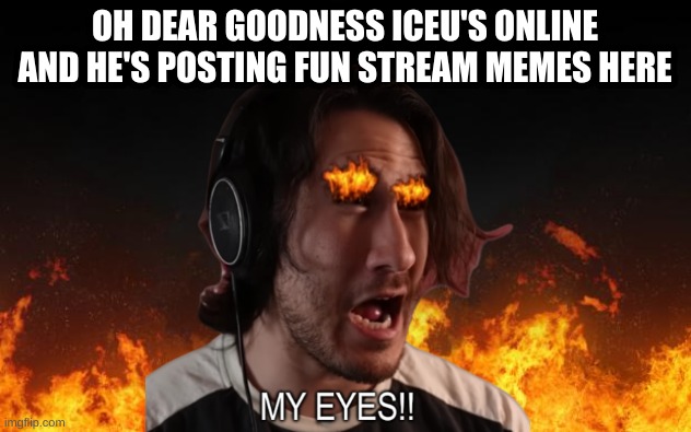 MY EYES! MY MSMG EYES | OH DEAR GOODNESS ICEU'S ONLINE AND HE'S POSTING FUN STREAM MEMES HERE | image tagged in my eyes | made w/ Imgflip meme maker