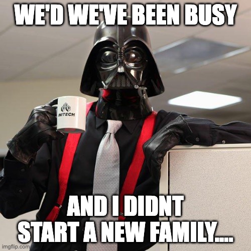 Darth Vader Office Space | WE'D WE'VE BEEN BUSY; AND I DIDNT START A NEW FAMILY.... | image tagged in darth vader office space | made w/ Imgflip meme maker