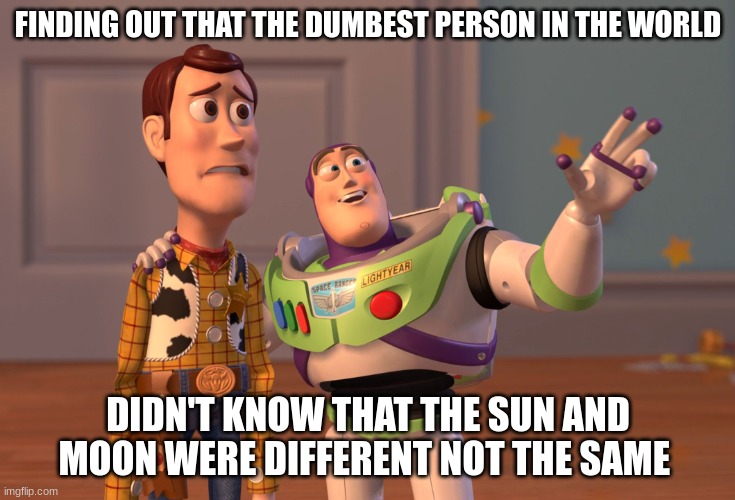 X, X Everywhere | FINDING OUT THAT THE DUMBEST PERSON IN THE WORLD; DIDN'T KNOW THAT THE SUN AND MOON WERE DIFFERENT NOT THE SAME | image tagged in memes,x x everywhere | made w/ Imgflip meme maker