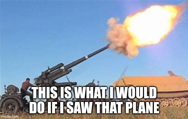 Flak gun | THIS IS WHAT I WOULD DO IF I SAW THAT PLANE | image tagged in flak gun | made w/ Imgflip meme maker