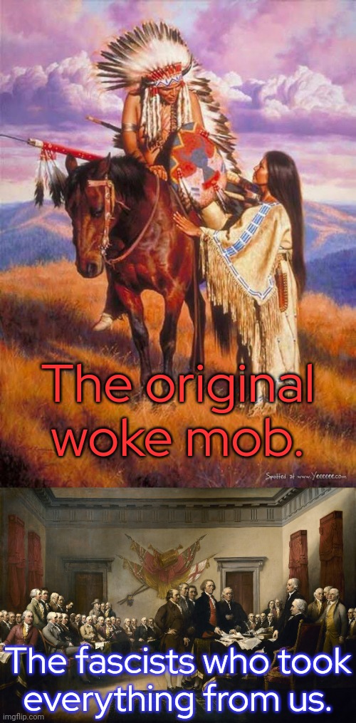 Some people on another stream are getting this backwards. | The original woke mob. The fascists who took
everything from us. | image tagged in native american,declaration of independence,historical,reality check | made w/ Imgflip meme maker
