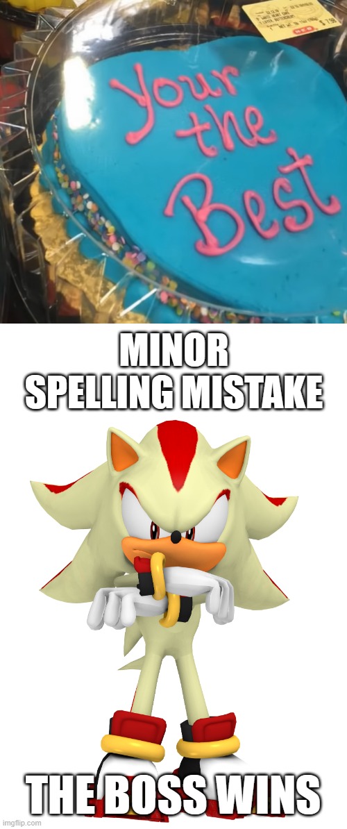 MINOR SPELLING MISTAKE; THE BOSS WINS | image tagged in minor spelling mistake i win,cake,your,you're | made w/ Imgflip meme maker