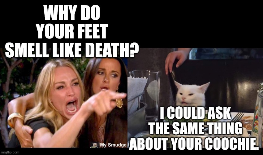 WHY DO YOUR FEET SMELL LIKE DEATH? I COULD ASK THE SAME THING ABOUT YOUR COOCHIE. | image tagged in smudge the cat | made w/ Imgflip meme maker