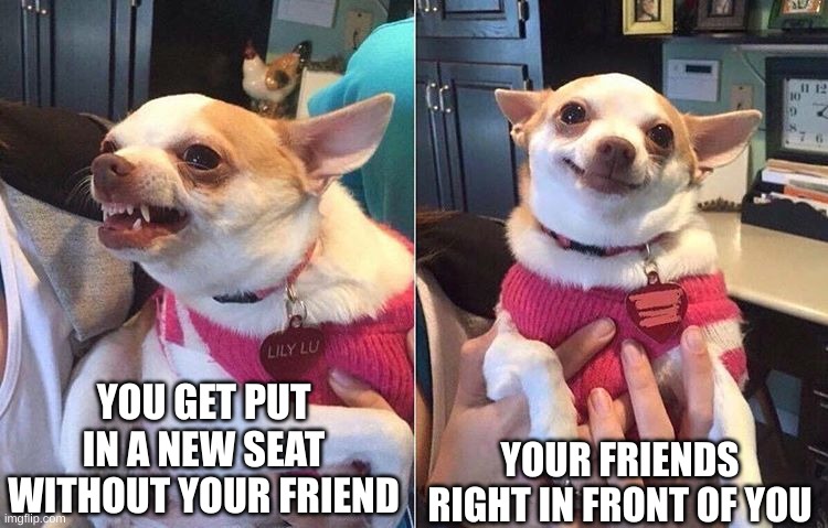 relatable | YOU GET PUT IN A NEW SEAT WITHOUT YOUR FRIEND; YOUR FRIENDS RIGHT IN FRONT OF YOU | image tagged in angry dog meme,school | made w/ Imgflip meme maker