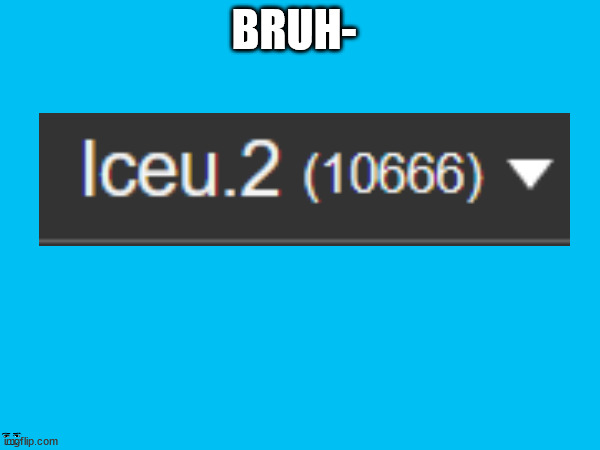 Bruh- | BRUH- | image tagged in help me | made w/ Imgflip meme maker