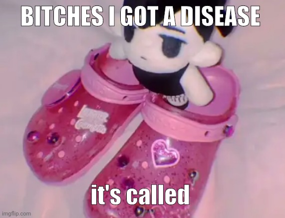 stairs | BITCHES I GOT A DISEASE; it's called | image tagged in stairs | made w/ Imgflip meme maker