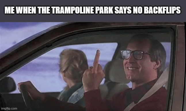 Meme #423 | ME WHEN THE TRAMPOLINE PARK SAYS NO BACKFLIPS | image tagged in trampoline,flip off,jumping,memes,funny,backflips | made w/ Imgflip meme maker