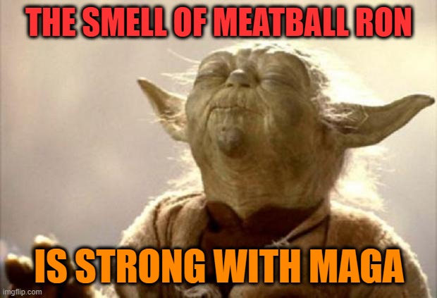 yoda smell | THE SMELL OF MEATBALL RON IS STRONG WITH MAGA | image tagged in yoda smell | made w/ Imgflip meme maker