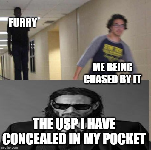 no more furries | FURRY; ME BEING CHASED BY IT; THE USP I HAVE CONCEALED IN MY POCKET | image tagged in floating boy chasing running boy,anti furry | made w/ Imgflip meme maker