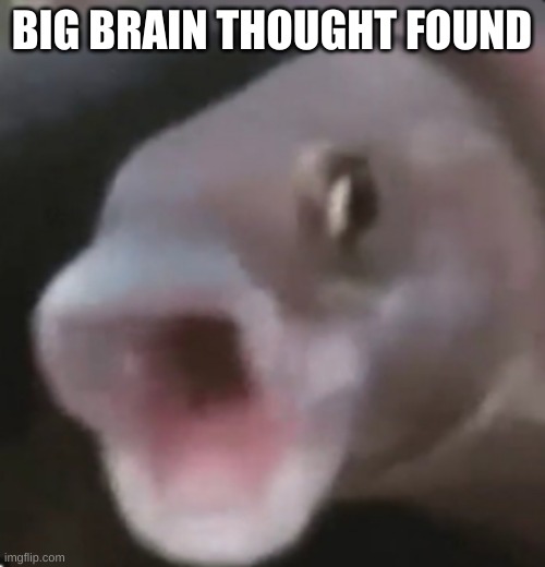 Poggers Fish | BIG BRAIN THOUGHT FOUND | image tagged in poggers fish | made w/ Imgflip meme maker