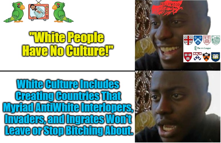 White Culture 101 + 1 | "White People 
Have No Culture!"; White Culture Includes 

Creating Countries That 

Myriad AntiWhite Interlopers, 

Invaders, and Ingrates Won't 

Leave or Stop Bitching About. | image tagged in white people,white culture,antiwhite agendas,occupied west,disappointed black guy,npc | made w/ Imgflip meme maker