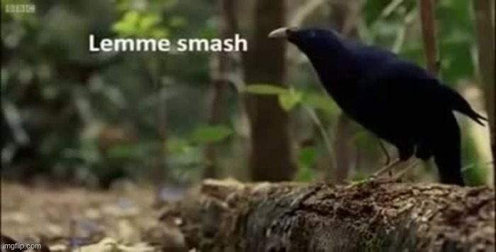 Lemme smash | image tagged in lemme smash | made w/ Imgflip meme maker