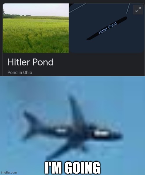 I found it and deceided to... | I'M GOING | image tagged in memes,funny | made w/ Imgflip meme maker