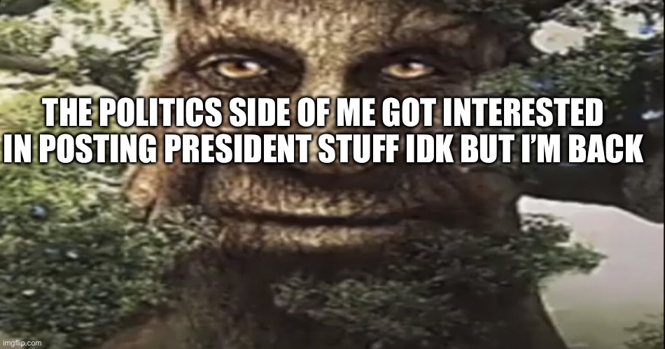 Wise mystical tree | THE POLITICS SIDE OF ME GOT INTERESTED IN POSTING PRESIDENT STUFF IDK BUT I’M BACK | image tagged in wise mystical tree | made w/ Imgflip meme maker