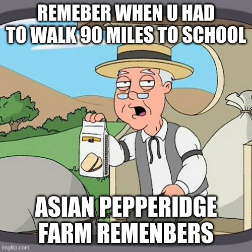 Pepperidge Farm Remembers Meme | REMEBER WHEN U HAD TO WALK 90 MILES TO SCHOOL; ASIAN PEPPERIDGE FARM REMENBERS | image tagged in memes,pepperidge farm remembers | made w/ Imgflip meme maker