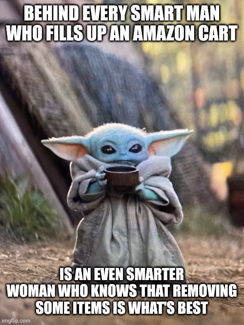 Baby yoda impulse buy vs. Appropriations | BEHIND EVERY SMART MAN WHO FILLS UP AN AMAZON CART; IS AN EVEN SMARTER WOMAN WHO KNOWS THAT REMOVING SOME ITEMS IS WHAT'S BEST | image tagged in baby yoda tea | made w/ Imgflip meme maker