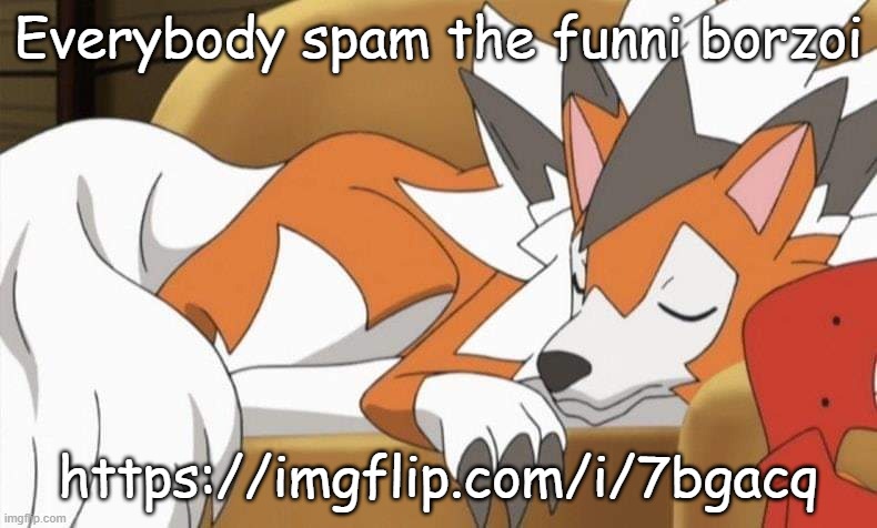 Lycanroc | Everybody spam the funni borzoi; https://imgflip.com/i/7bgacq | image tagged in lycanroc | made w/ Imgflip meme maker