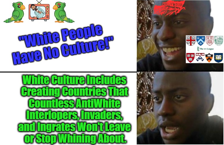 White Culture 101 + 1 ½ |  "White People
Have No Culture!"; White Culture Includes 

Creating Countries That 

Countless AntiWhite 

Interlopers, Invaders, 

and Ingrates Won't Leave 

or Stop Whining About. | image tagged in disappointed black guy,npc narratives,white people,antiwhite agenda,white culture,occupied western world | made w/ Imgflip meme maker