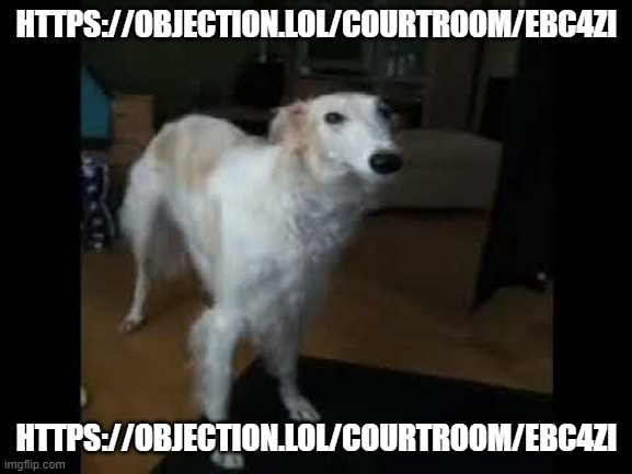 https://objection.lol/courtroom/ebc4zi | HTTPS://OBJECTION.LOL/COURTROOM/EBC4ZI; HTTPS://OBJECTION.LOL/COURTROOM/EBC4ZI | image tagged in low quality borzoi dog | made w/ Imgflip meme maker