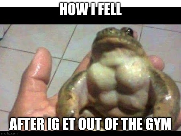 fog | HOW I FELL; AFTER IG ET OUT OF THE GYM | image tagged in kermit the frog | made w/ Imgflip meme maker