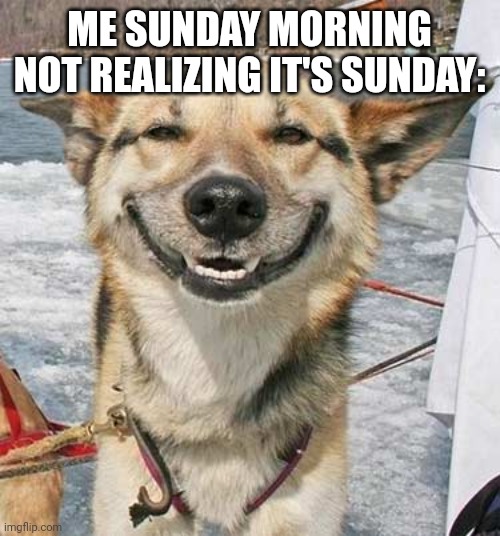 The realization | ME SUNDAY MORNING NOT REALIZING IT'S SUNDAY: | image tagged in happy dog | made w/ Imgflip meme maker