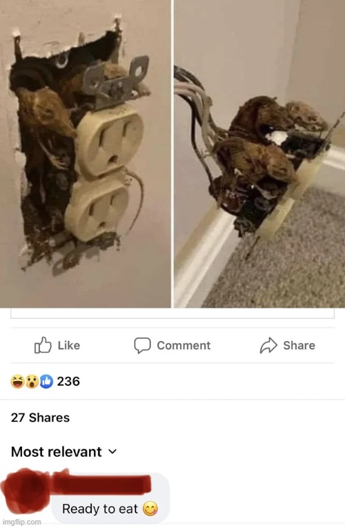Cursed Power Plug | image tagged in facebook,cursed,comments,plug,dark humor,memes | made w/ Imgflip meme maker