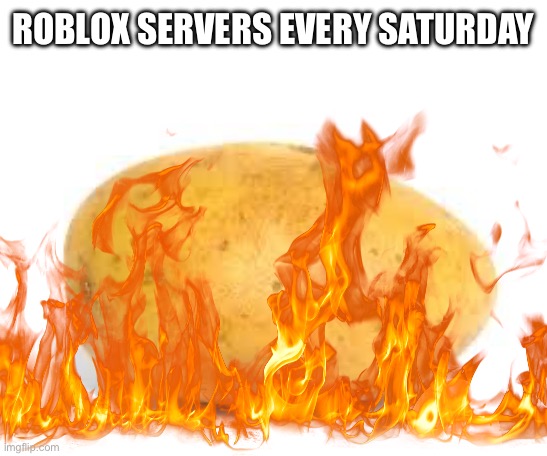 Roblox servers | ROBLOX SERVERS EVERY SATURDAY | image tagged in potato,roblox | made w/ Imgflip meme maker