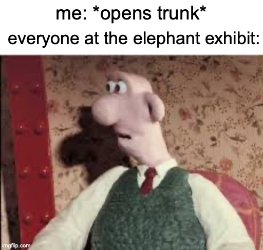 interpret this how you'd like | me: *opens trunk*; everyone at the elephant exhibit: | image tagged in surprised wallace,memes,funny,elephants | made w/ Imgflip meme maker