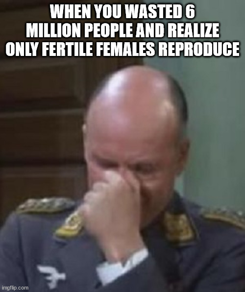 Stupid Nazis | WHEN YOU WASTED 6 MILLION PEOPLE AND REALIZE ONLY FERTILE FEMALES REPRODUCE | image tagged in colonel klink facepalm,nazis,holocost,stupid | made w/ Imgflip meme maker