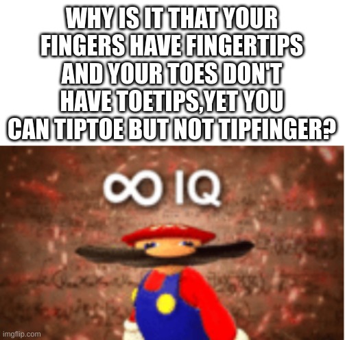 Infinite IQ | WHY IS IT THAT YOUR FINGERS HAVE FINGERTIPS AND YOUR TOES DON'T HAVE TOETIPS,YET YOU CAN TIPTOE BUT NOT TIPFINGER? | image tagged in infinite iq | made w/ Imgflip meme maker