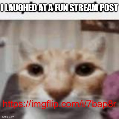 It wasn’t super funny but I still technically laughed | I LAUGHED AT A FUN STREAM POST; https://imgflip.com/i/7bap8r | image tagged in my honest reaction | made w/ Imgflip meme maker