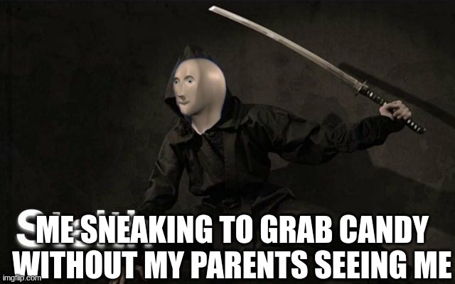 Stelth | ME SNEAKING TO GRAB CANDY WITHOUT MY PARENTS SEEING ME | image tagged in stelth | made w/ Imgflip meme maker