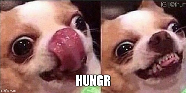 Hungry dog | HUNGR | image tagged in hungry dog | made w/ Imgflip meme maker