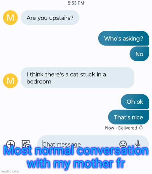 Most normal conversation with my mother fr | made w/ Imgflip meme maker