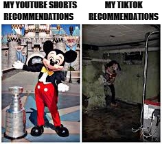 mickey mouse in disneyland | MY YOUTUBE SHORTS RECOMMENDATIONS; MY TIKTOK RECOMMENDATIONS | image tagged in mickey mouse in disneyland | made w/ Imgflip meme maker