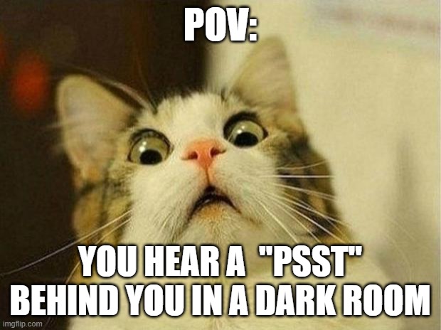 Scared Cat Meme | POV:; YOU HEAR A  "PSST" BEHIND YOU IN A DARK ROOM | image tagged in memes,scared cat,roblox meme | made w/ Imgflip meme maker